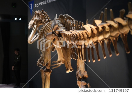 巨型棘龍恐龍模型 巨型棘龍恐龍模型 131749197