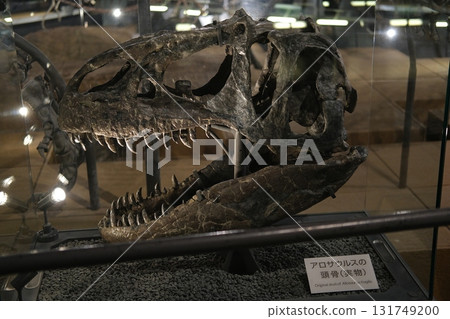 Dinosaur model 131749200