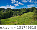 A view of the rice terraces 131749618