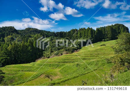 A view of the rice terraces 131749618