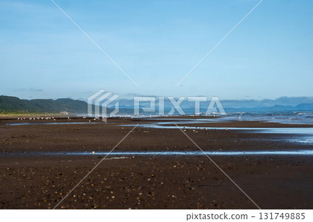 Expansive sandy shoreline with seabirds and mountains Expansive sandy shoreline with seabirds and mountains 131749885