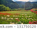 A rural landscape with blooming red spider lilies 131750120
