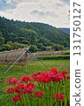 Satoyama in the early autumn afternoon 131750127