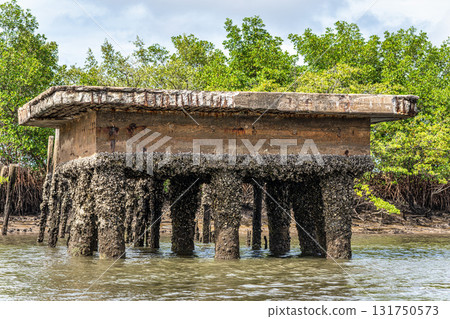 Boat trip on the Preguica River from Tutoia, Delta das Americas to Ilha das Canarias, Brazil. South America Boat trip on the Preguica River from Tutoia, Delta das Americas to Ilha das Canarias, Brazil. South America 131750573