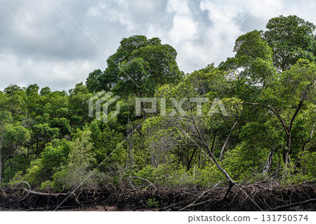 Boat trip on the Preguica River from Tutoia, Delta das Americas to Ilha das Canarias, Brazil. South America Boat trip on the Preguica River from Tutoia, Delta das Americas to Ilha das Canarias, Brazil. South America 131750574
