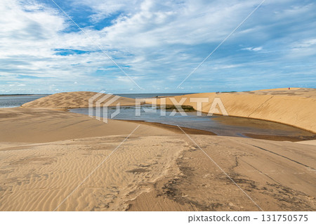 Dunas do Mouro at Ilha do Caju, Ilha das Canarias, Brazil. Delta do Parnaiba and Delta das Americas 131750575