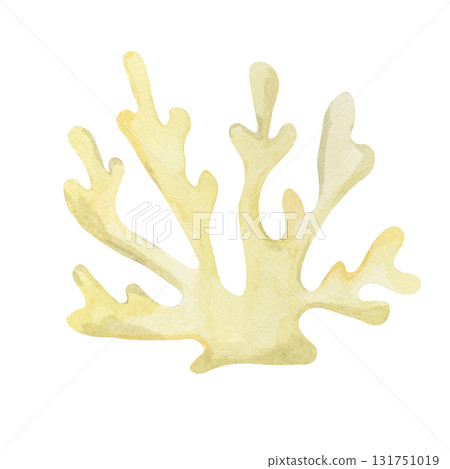 Yellow coral watercolor clipart, hand drawn marine element. Perfect for nautical stationery, wedding invitations, fabric prints, kids decor, summer wrapping paper, and decorative merchandise Yellow coral watercolor clipart, hand drawn marine element. Perfect for nautical stationery, wedding invitations, fabric prints, kids decor, summer wrapping paper, and decorative merchandise 131751019
