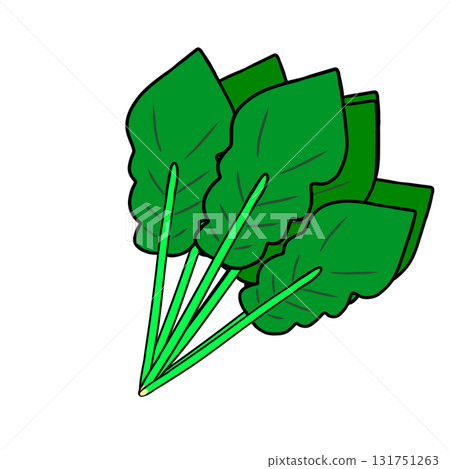 Spinach Vegetables Simple Spinach Vegetables Simple 131751263