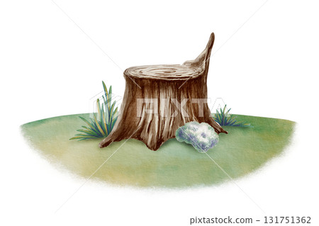 Whimsical tree stump with soft grass and fluffy moss on meadow turning,created with watercolor washes and textured colored pencils.For childrens books,nature themes,and precshool educational projects Whimsical tree stump with soft grass and fluffy moss on meadow turning,created with watercolor washes and textured colored pencils.For childrens books,nature themes,and precshool educational projects 131751362