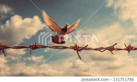 A dove flying over barbed wire, a symbol of peace, freedom and hope against a gloomy sky 131751798