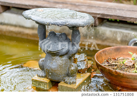 Nagoya Port Wildflower Garden Bluebonnet Frog Fountain Nagoya Port Wildflower Garden Bluebonnet Frog Fountain 131751808