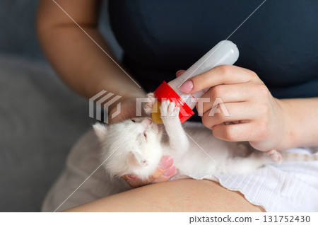 Caucasian female feeding adorable white kitten with bottle in caring moment. Ginger Cat Appreciation Day Caucasian female feeding adorable white kitten with bottle in caring moment. Ginger Cat Appreciation Day 131752430