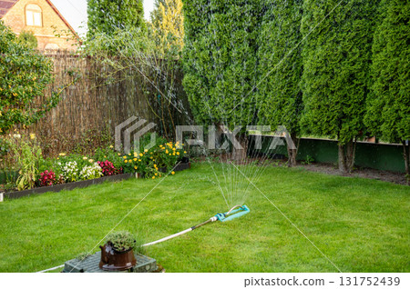 Green garden with sprinkler system watering lawn and colorful flowers 131752439