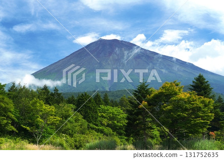 Mount Fuji seen from Shizuoka Prefecture with white clouds rising against the summer sky Ver.2 131752635