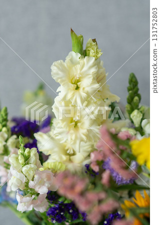 Vibrant floral arrangement with white and purple gladiolus. Teacher's Day in Uzbekistan Vibrant floral arrangement with white and purple gladiolus. Teacher's Day in Uzbekistan 131752803