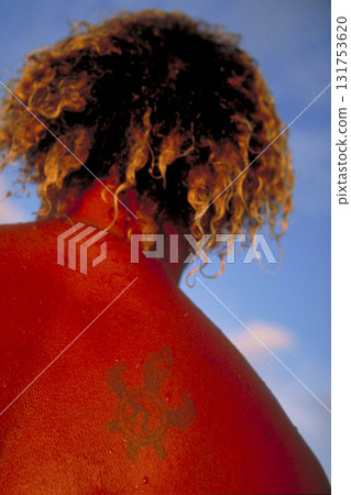 南半球稍古老的景觀 南半球稍古老的景觀 131753620