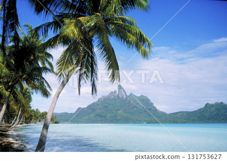 南半球景觀 南半球景觀 131753627