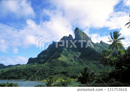 Southern Hemisphere Landscape Southern Hemisphere Landscape 131753628
