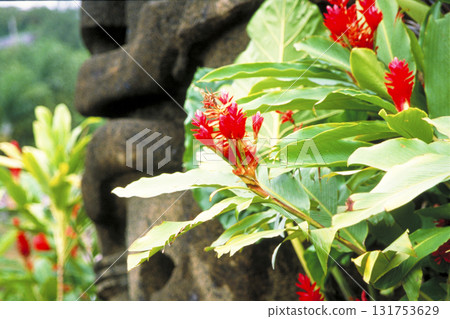 A slightly older landscape of the Southern Hemisphere A slightly older landscape of the Southern Hemisphere 131753629