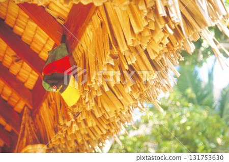 Torii and Shimenawa at the shrine Torii and Shimenawa at the shrine 131753630