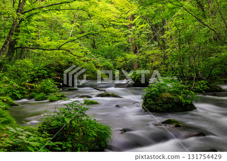 [Aomori Prefecture_Oirase Gorge_Sanran Flow] A refreshing location 131754429