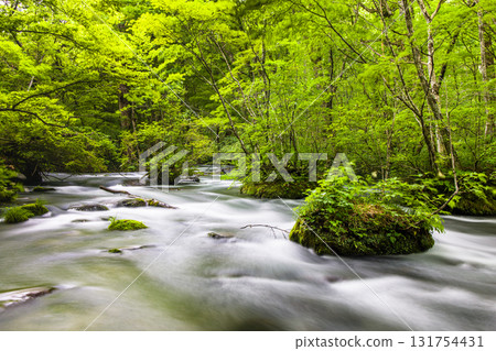 [Aomori Prefecture_Oirase Gorge_Sanran Flow] A refreshing location 131754431