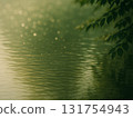 The calm water surface with sunlight filtering through the trees 131754943