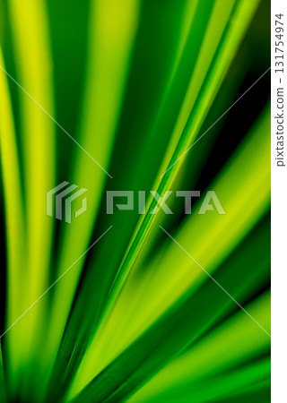 Abstract colored background close up. Macro flowers and petals Abstract colored background close up. Macro flowers and petals 131754974