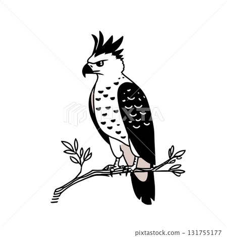 Harpy Eagle. Harpy Eagle simple black and white line art vector logo 131755177
