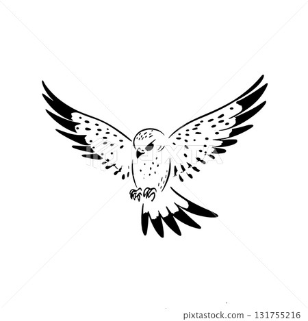 Kestrel. Kestrel simple black and white line art vector logo 131755216