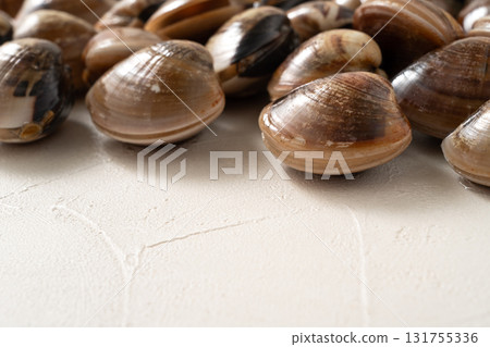 clam clam seafood fresh raw fresh clam live はまぐり ハマグリ 131755336