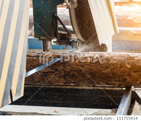 Modern sawmill. Industry sawing boards from logs Modern sawmill. Industry sawing boards from logs 131755414