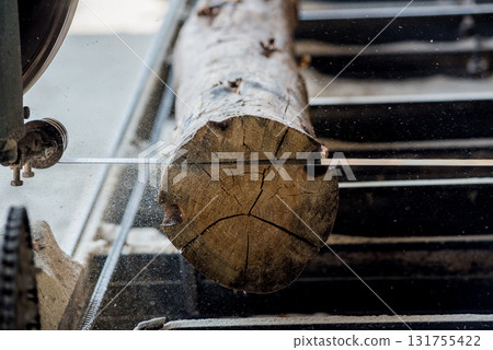 Modern sawmill. Industry sawing boards from logs Modern sawmill. Industry sawing boards from logs 131755422