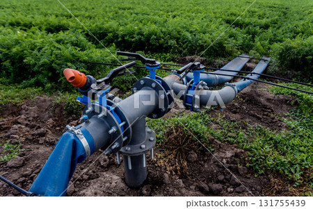 Drip irrigation system. Water saving drip irrigation system Drip irrigation system. Water saving drip irrigation system 131755439