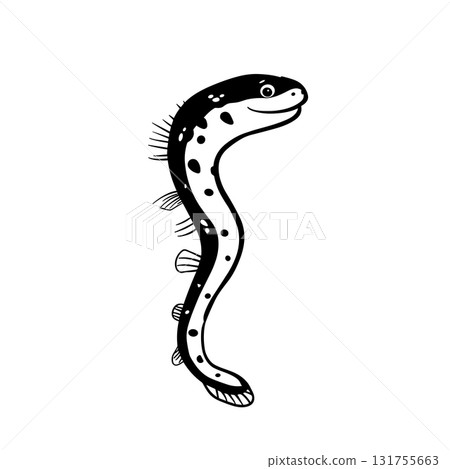 Moray Eel. Moray Eel simple black and white line art vector logo Moray Eel. Moray Eel simple black and white line art vector logo 131755663