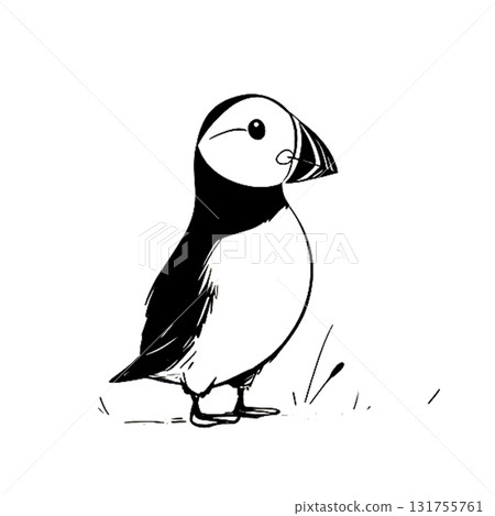 Puffin. Puffin simple black and white line art vector logo 131755761