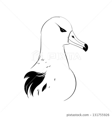 Albatross. Albatross simple black and white line art vector logo Albatross. Albatross simple black and white line art vector logo 131755926