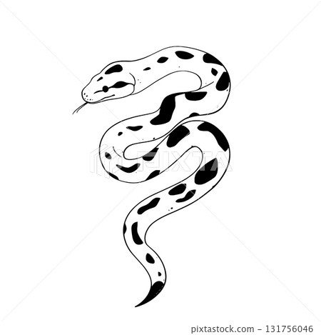 Boa Constrictor. Boa Constrictor simple black and white line art vector logo 131756046