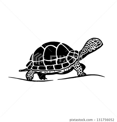 Box Turtle. Box Turtle simple black and white line art vector logo 131756052