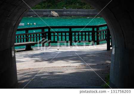 淨土之濱，從隧道內就能看到翠綠的大海 131756203