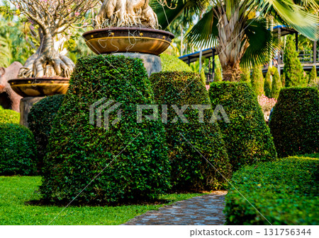 Luxury landscape design of the tropical garden.  131756344