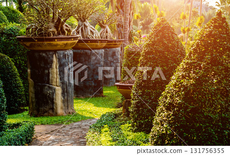 Luxury landscape design of the tropical garden. Luxury landscape design of the tropical garden. 131756355
