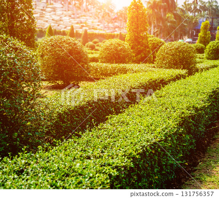 Luxury landscape design of the tropical garden. Luxury landscape design of the tropical garden. 131756357
