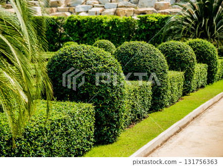 Luxury landscape design of the tropical garden.  131756363