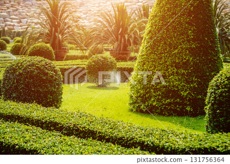 Luxury landscape design of the tropical garden.  131756364