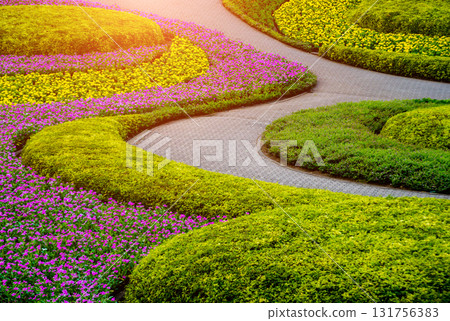 Luxury landscape design of the tropical garden.  131756383
