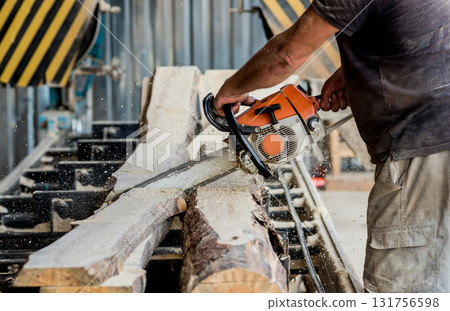 Woodcutter cutting tree with chainsaw on sawmill. Modern sawmill.  131756598