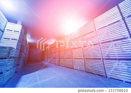Empty industrial freezer warehouse for vegetable storage. Empty industrial freezer warehouse for vegetable storage. 131756610