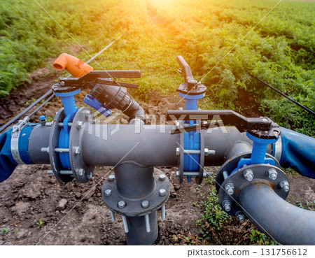 Drip irrigation system. Water saving drip irrigation system being used Drip irrigation system. Water saving drip irrigation system being used 131756612