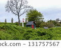 Lifebuoy and a small house on the seashore 131757567